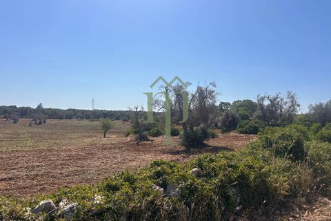 Ruinere i Carovigno, Brindisi, Carovigno - € 385.000 | Ref: Proprietà Pinea - foto 37